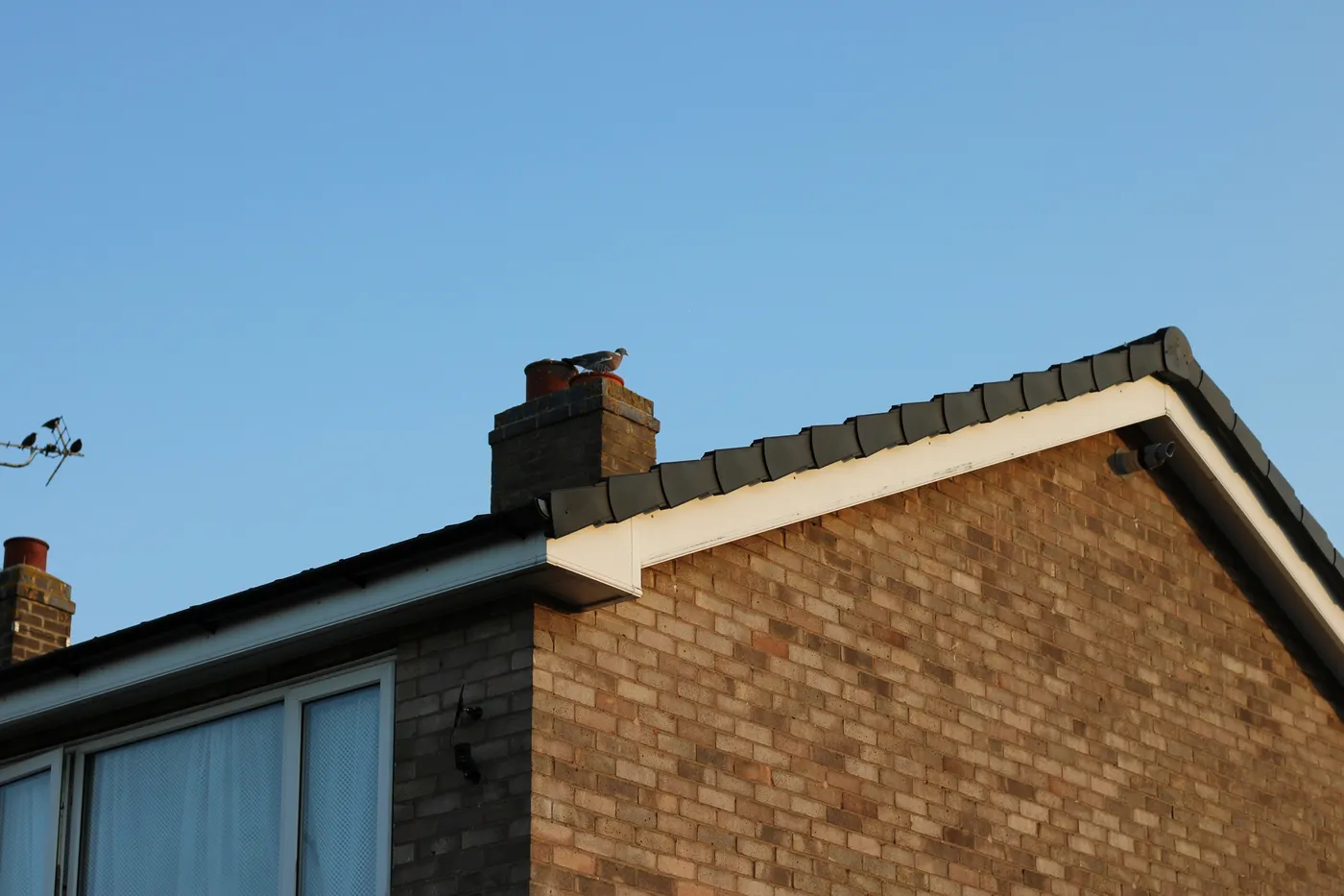 Dry Ridge & Dry Verge work on a roof
